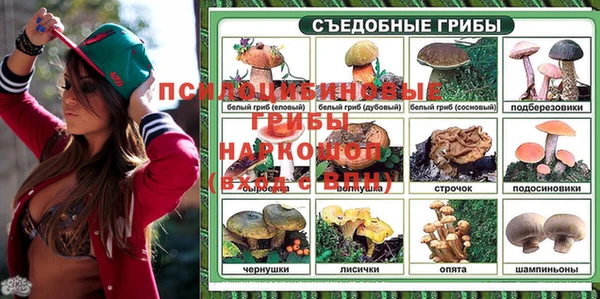 шишки Белоозёрский