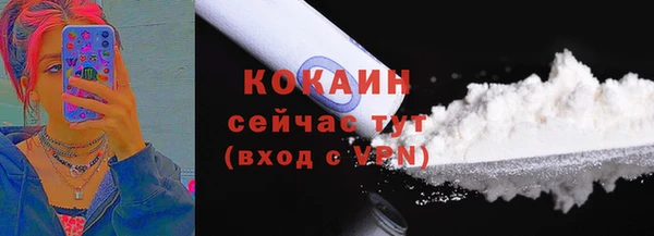 ГАЛЛЮЦИНОГЕННЫЕ ГРИБЫ Белокуриха