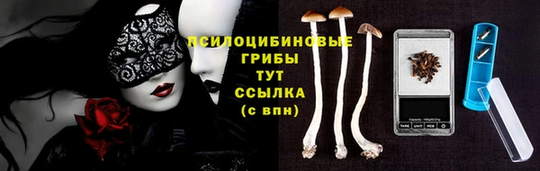 ГАЛЛЮЦИНОГЕННЫЕ ГРИБЫ Белокуриха