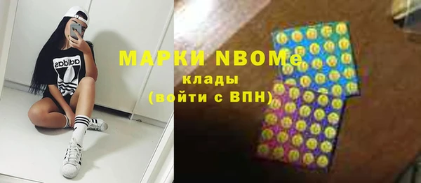 шишки Белоозёрский