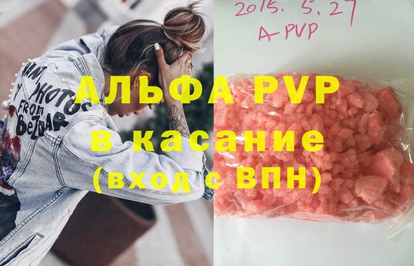 шишки Белоозёрский