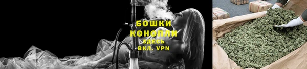 ГАЛЛЮЦИНОГЕННЫЕ ГРИБЫ Белокуриха