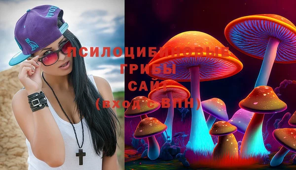 шишки Белоозёрский