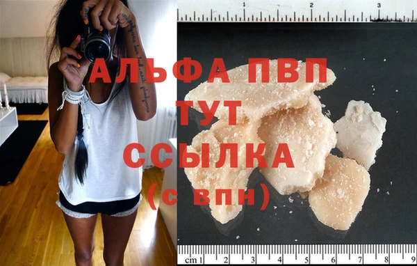 шишки Белоозёрский