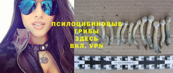ГАЛЛЮЦИНОГЕННЫЕ ГРИБЫ Белокуриха