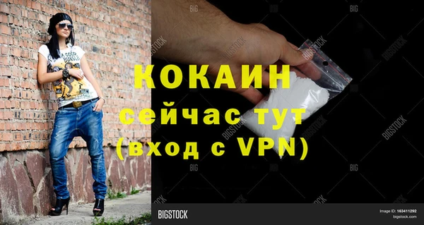шишки Белоозёрский