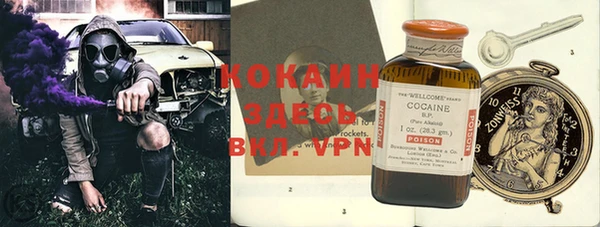 ГАЛЛЮЦИНОГЕННЫЕ ГРИБЫ Белокуриха
