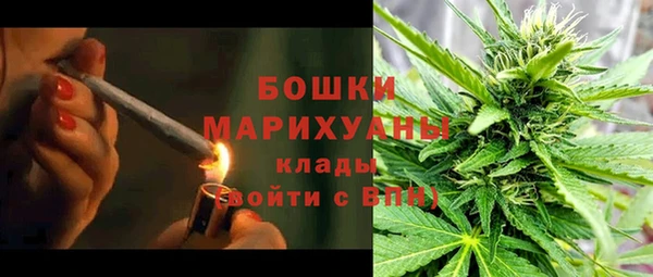 шишки Белоозёрский